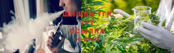 прущие грибы Балахна
