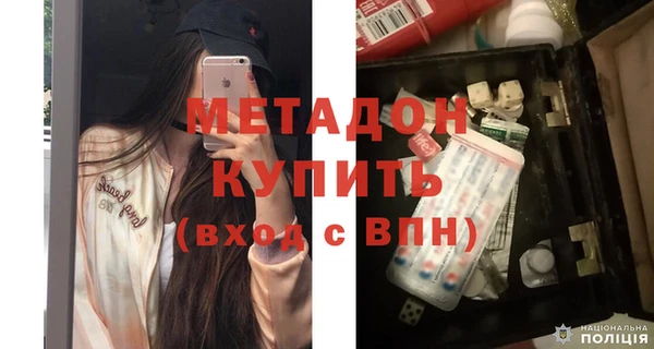 прущие грибы Балахна