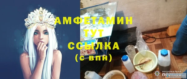 прущие грибы Балахна