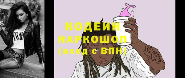 прущие грибы Балахна