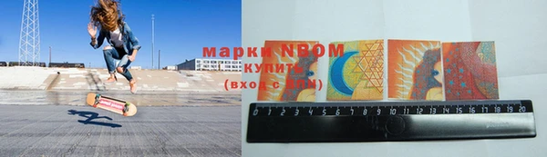 прущие грибы Балахна