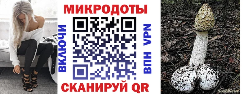 Галлюциногенные грибы Psilocybe  Краснообск 