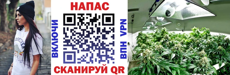 Марихуана индика  где купить наркоту  Краснообск 